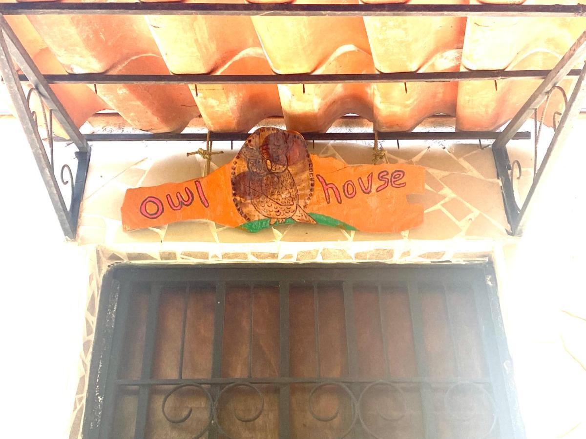 Owl House Hotel Piedades Kültér fotó